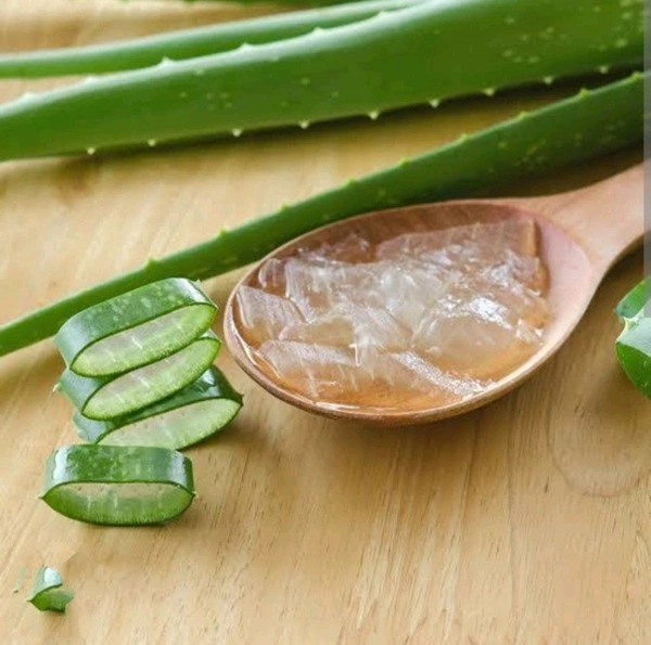 Frumos Organic Pure Aloevera Gel Alternate View